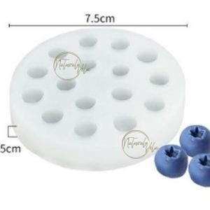 Molde arándanos 16 cav RS1-3938