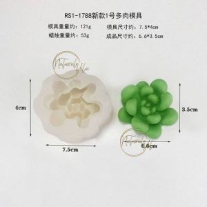 Molde suculenta RS1-1788