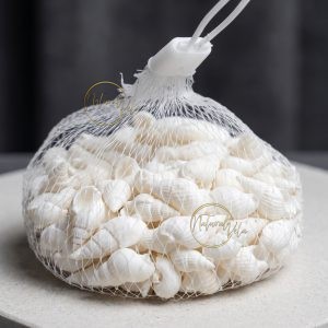 Caracoles Blancos Naturales para Decoración y Manualidades (aproximado 90g)