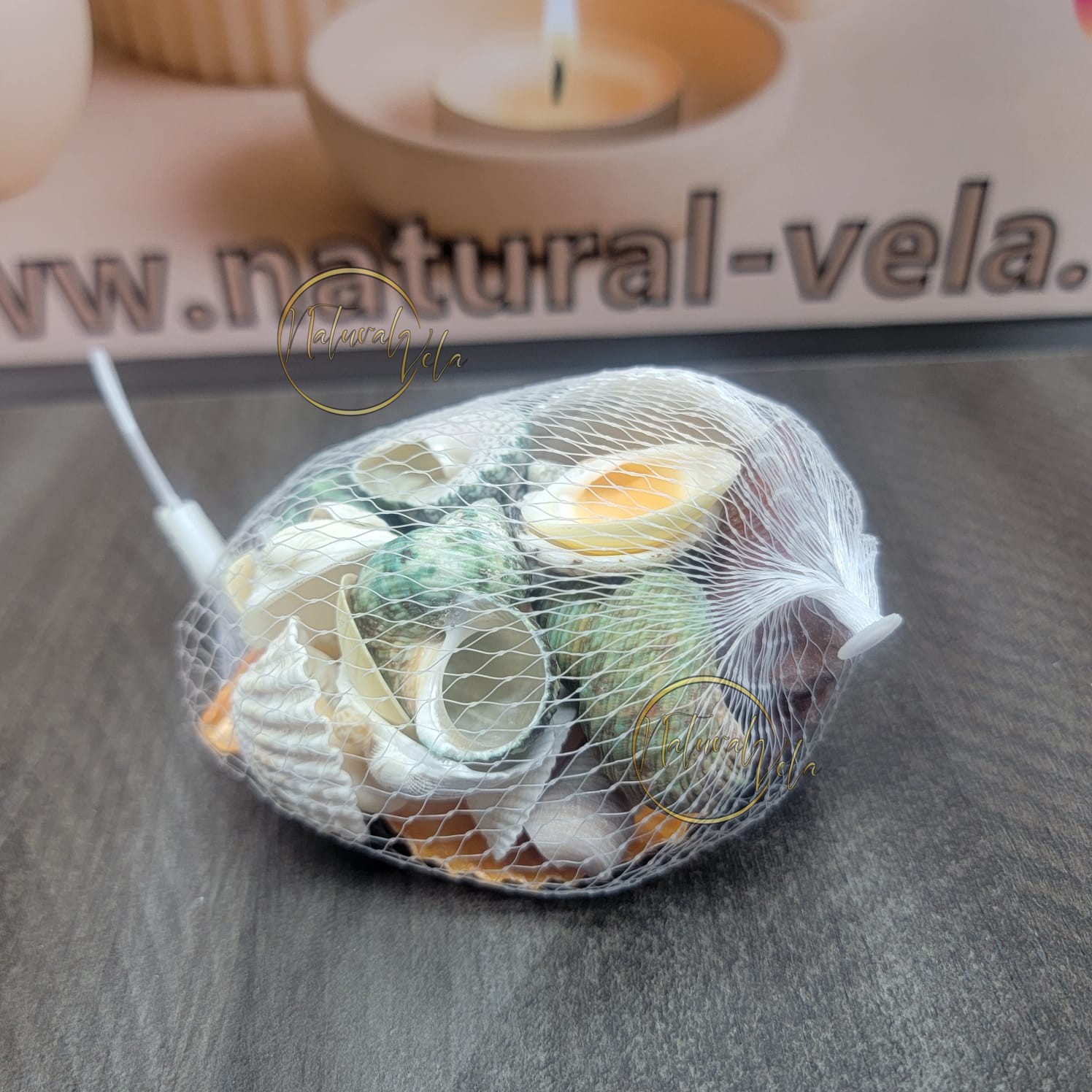 Conchas variadas aproximado 100g