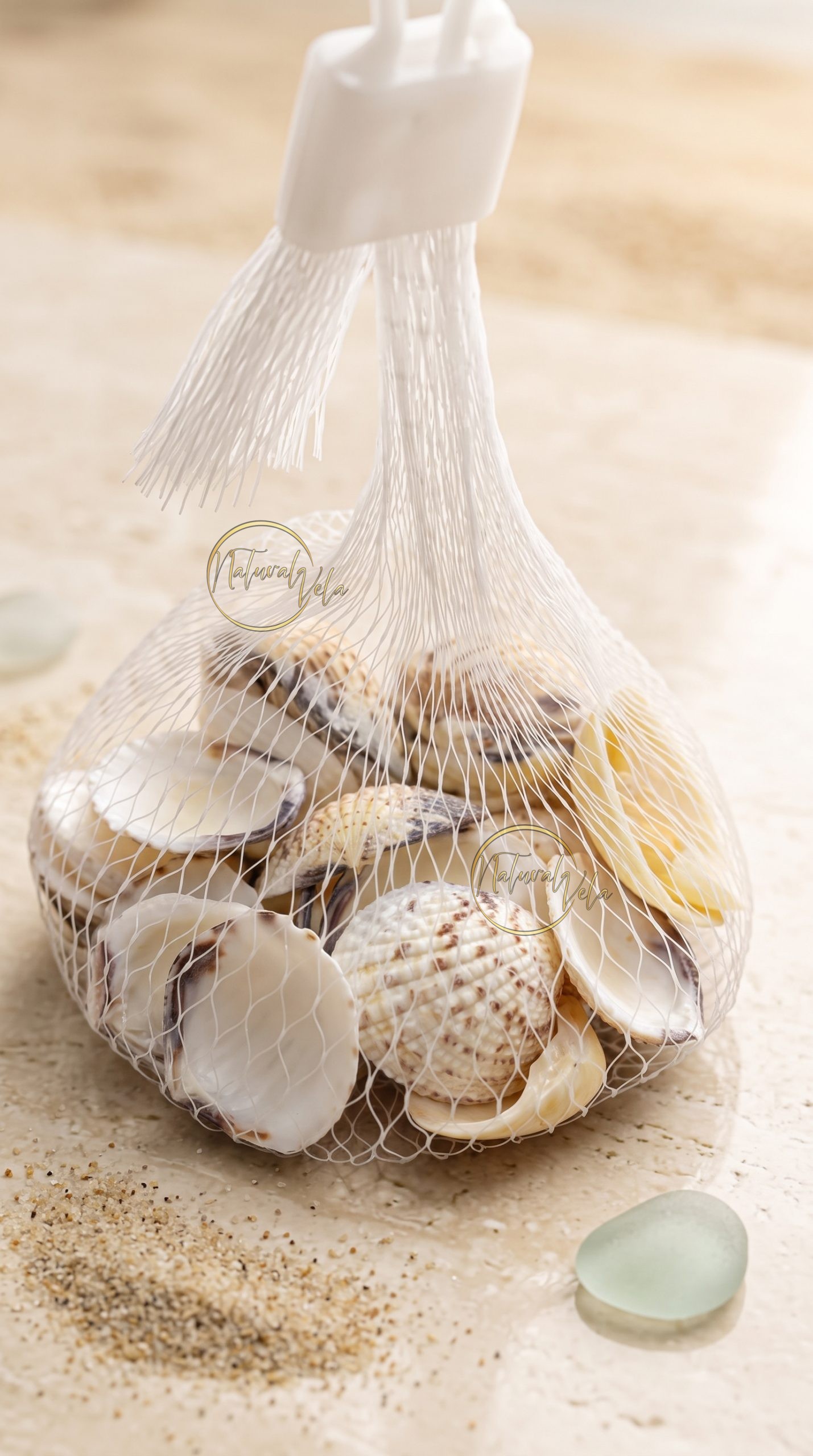 Conchas colores Naturales para Decoración y Manualidades (aproximado 90g)